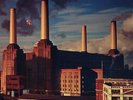 Pink Floyd - Animals (2016 Edition) Vinyl LP Plg Uk NEU