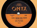 DOO-WOP 78 : THE VELOURS ON ONYX 520