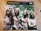 Mudhoney 7