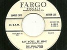 DooWop 45 The Aquatones Fargo F-1002 