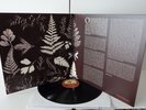 NM/NM Susan Christie -Paint a Lady Unreleased 60s Psych Country Folk LP in 2006