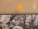 Death In June Coil Attrition Vinyl Lp Brown Book Burial Tainted Love