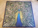 The Bluetones LP Expecting to fly 1995 Paradox 1st press & Insert LOVELY COPY