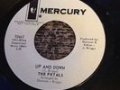 The Petals Up And Down Mercury Promo Windows Of Your Heart 72661 Rare 45 7