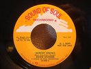 NORTHERN SOUL 45 DICKIE WONDER NOBODY KNOWS - STORY OF MY LOVE PROMO M-