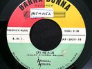 APOLLO'S APACHES Cry Me A Lie BARRA DONNA Chicago Rare Garage LISTEN