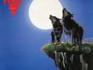 Wolf - Edge Of The World LP #108893