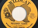 * HARRY CHARLES Petoskey Town/By The Gun RARE LONER C&W COUNTRY Wildcat 45 Hear