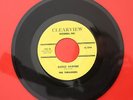THE THRASHERS // SLEDGE HAMMER b/w FORT LAUDERDALE // Surf Instro Rockabilly 45