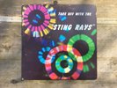 THE STING RAYS Take Off With Private Surf Garage 10