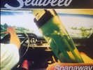 Seaweed - Spanaway