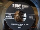 NORTHERN SOUL ; LEE DAVID / TEMPTATION IS CALLING MY NAME ( RUBY RECORDS )
