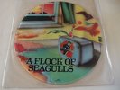 A Flock Of Seagulls, Same,  Rare Vinyl Picture Disc