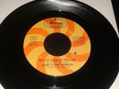 NORTHERN SOUL, SANDY & THE PEBBLES, 