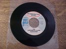 THE THIRTEENTH FLOOR ELEVATORS 45 Reverbaration Fire Engine DJ PROMO PSYCH