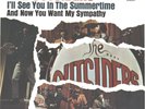 OUTSIDERS--LATE PICTURE SLEEVE + 45--(I'LL SEE U IN THE SUMMERTIME)---PS---PIC-