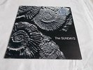 THE SUNDAYS UK  LP. READING WRITING AND ARITHMETIC. SPECIAL ED. ROUGH 148P.1990