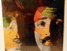 SUM PEAR-self titled-EUPHORIA-RARE 1971 ACID ARCHIVES PSYCH FOLK ROCK-IN SHRINK
