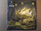 Isis Live VII 2 LP Yellow Vinyl Special Edition Cover 200