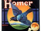 homer grown in the usa lp universal audio original private psych hard rock