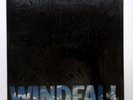 windfall s/t lp private texas hard rock aor sealed