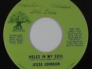 Northern Soul 45 - Jesse Johnson - Holes In My Soul - Oak - mp3