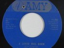 Funk/Deep Soul 45 - Lee Dorsey - A Lover Was Born - Amy - VG+ mp3