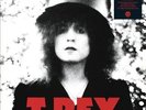 T.REX - THE SLIDER - LIMITED EDITION NEW VINYL