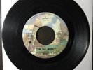 RUSH IN THE MOOD (edit) / WHAT YOU'RE DOING, 1974 RARE MERCURY CANADIAN 45 (7