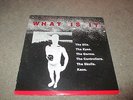 WHAT IS IT - THE DILS THE EYES THE GERMS THE CONTROLLERS THE SKULLS KAOS LP