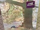John Lennon/Plastic Ono Band Still Sealed Lp