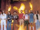 Street Survivors [LP] by Lynyrd Skynyrd.