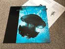 THE CHILLS - SUBMARINE BELLS - 1990 LP WITH INNER SLEEVE EX/EX - LOOK IN MY SHOP