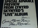 Lynyrd Skynyrd Preview Live 12