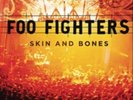 Foo Fighters-Skin and Bones  (UK IMPORT)  Vinyl / 12