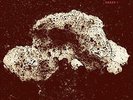LOOP - ARRAY 1 NEW VINYL
