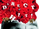 DIRECT HIT - Domesplitter