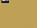 Conrad Schnitzler - Gold Vinyl LP Bureau b NEW