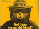 SMOKEY BEAR 1972 Fire Preventin' Radio 7 in 33 rpm Glen Campbell Tom Paxton COOL