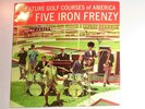 45 RPM RECORD by FIVE IRON FRENZY 