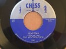 The Moonglow's - Tempting/Sincerely * Chess R&B Doo Wop 45 NM