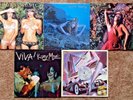 ROXY MUSIC – Siren, VIVA, Stranded, Country Life, Angel Eyes – 5 Albums - 1970s