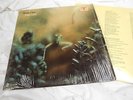 Steely Dan - Katy Lied - ABC # 846 - Near  Mint in shrink with LYRICS from 7575