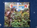 SAVOY BROWN   