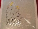 Virginia Astley From Gardens Where We Feel Secure Rare Psych Folk Ambient Uk Lp