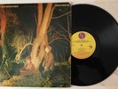 Echo And The Bunnymen Crocodiles - 1980 1st Press SRK 6096 VG+ Ultrasonic Clean