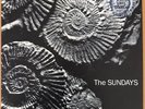 The Sundays Reading, Witing, and Arithmetic Picture Disc