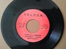 FEDERICK THOMAS - DOWN IN A BABYLON // VERSION / S E L D O M