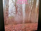 TWINK - Think Pink - AKARMA AK 064