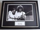 Brian May SIGNED FRAMED Photo Autograph 16x12 display Queen Music AFTAL & COA